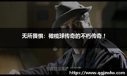 678体育app